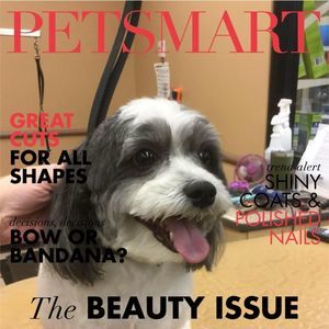 Meet your Posher, Connie